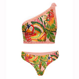 Hoombox Vintage One-shoulder Swimsuits Sexy Print Two-piece Bikini and Fringe Skirt Women Swimwear Bathing Suit Summer Beach Wear Luxury