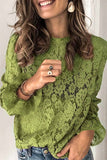 Hoombox  Long Sleeve Openwork Lace Blouse(5 Colors)